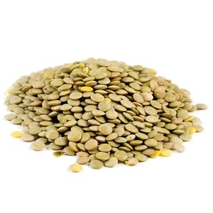Lentejas Verdes Secas Seleccionadas Disponibles para Pedidos de Exportación a Granel a Través de Conexiones Web de Proveedores Profesionales de Alimentos - Product Image 5
