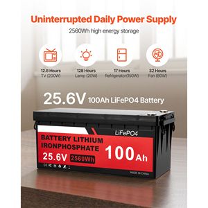 Kit d'énergie solaire et éolienne 24V 1000W, 6 panneaux solaires 100W, éolienne 400W, batterie LiFePO4 25.6V 100Ah, onduleur 3000W M - Product Image 6