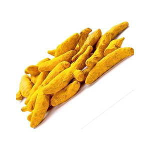 Doigts de curcuma de qualité supérieure, parfaits pour les marchés d'épices et les fournisseurs de produits à base de plantes - Product Image 4