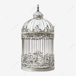 Cage à oiseaux antique en fil de fer, finition peinte solide, cage d'intérieur pour petits oiseaux, forme carrée, design durable fait main - Product Image 2