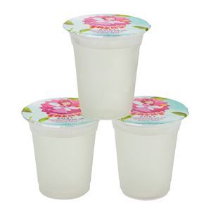 ขวดน้ำมะพร้าวสดแช่เย็นขนาด300มล. เก็บความรู้สึกแบบเขตร้อน - Product Image 1
