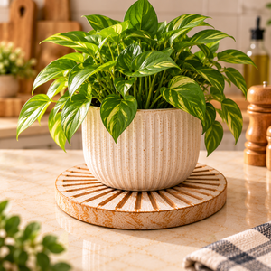Sous-plats ronds modernes en bois pour plats chauds, support de casserole antidérapant, tapis résistant à la chaleur pour casseroles et poêles, 8 pouces, style shabby chic blanc - Product Image 5