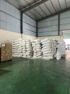 ขิงแห้งหั่นเป็นชิ้นจากเวียดนาม / ขิงแห้งหอมเข้มข้นสำหรับผู้ซื้อเครื่องเทศ (WA +84 914319488) - Product Image 6