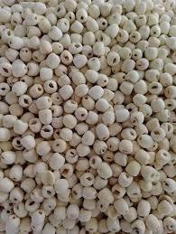 Graines de lotus séchées du Vietnam, superaliment naturel et sain, qualité d'exportation - Product Image 2