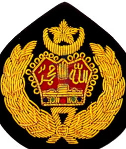 Fabricant professionnel de patchs brodés faits à la main avec des broderies complexes, des motifs personnalisés, une marque privée et des commandes d'exportation - Product Image 4