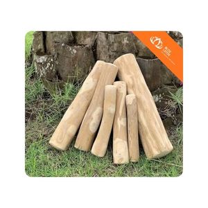 [BEST SELLER] ไม้เล่นสำหรับสุนัข LemonJoy Coffee Wood ขนาด L บรรจุกล่อง สำหรับเล่นในบ้านและกัดแทะ - Product Image 1