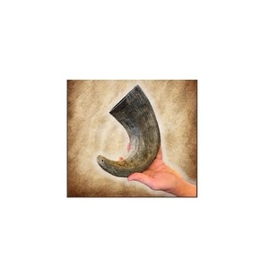 Buffalo <b>Sheep</b> Horn Dog Chew Food Good Polished Dried Water Pet Food and <b>Toys</b> for Dogs Modern Style - Product Image 1