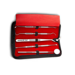 ชุดเครื่องมือผ่าตัดทางทันตกรรมพื้นฐาน สีเงิน ผลิตจากสแตนเลสอย่างดี สำหรับการผ่าตัดช่องปาก ถอนฟัน และการรักษาโรคปริทันต์ - Product Image 2