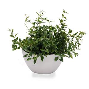 Pot de fleur mural demi-rond pour intérieur/extérieur Jardinières élégantes pour votre maison ou votre jardin - Product Image 1