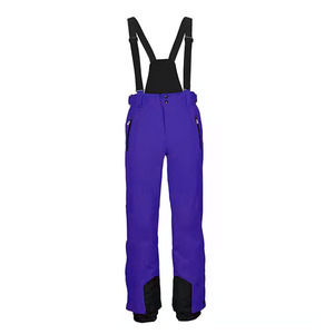 Pantalones de Esquí Personalizados de Color Liso, Impermeables, para Hombre, Estilo Hip Hop, para Snowboard - Product Image 4
