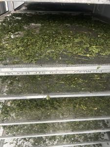 Té de Hierbas Premium: Bolsitas de Té de Apio Seco, Hojas de Loto y Jengibre para Apoyo en la Desintoxicación y Pérdida de Peso, 2G, Raw Health, 40 Bolsitas/Caja - Product Image 3