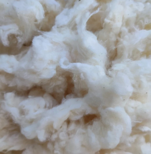 Meilleure Qualité 100% Coton Comber Noil Lickerin Prix Compétitif Fly Coton Carte Textile Déchets En Gros-Ms. Xiaavia + 84333371330 - Product Image 1