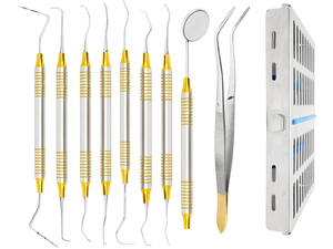 10 PCs Dental Hygienist <b>Tool</b> Kit | Stainless Steel Prophylaxis <b>Teeth</b> <b>Cleaning</b> Set with Sterilization Cassette Tray - Product Image 1