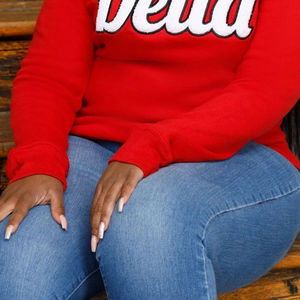 เสื้อสเวตเชิ้ตคอกลมเดลต้าเชนิลล์ สีดำ ผ้าฟลีซพรีเมียม เสื้อผ้าสำหรับชมรมนักศึกษา DST แบบกรีก ตัวอักษรคลาสสิก เสื้อกันหนาวสำหรับฤดูหนาว - Product Image 6