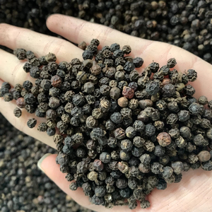 พริกไทยดำคุณภาพดีที่สุด ได้รับการรับรองมาตรฐาน ISO 100% จากธรรมชาติ 550GL พริกไทยดิบอบแห้ง ผงเครื่องเทศเดี่ยว - Product Image 1