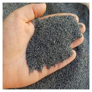 Graines de pavot biologiques à vendre - Product Image 2