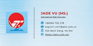 高品质锻铁填充物，适用于 PVC 门，简约设计，适用于庭院使用，来自越南最大的矿山河内。 - Product Image 4