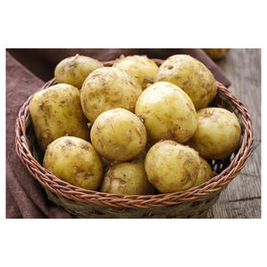 Pommes de terre fraîches en gros pour fermes agricoles, pommes de terre jaunes à la peau jaune, au prix le plus bas - Product Image 4