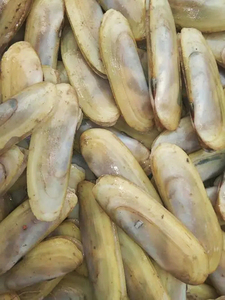 อาหารทะเลแช่แข็งแบบ IQF หอยแครงทะเลขายส่ง - Product Image 6