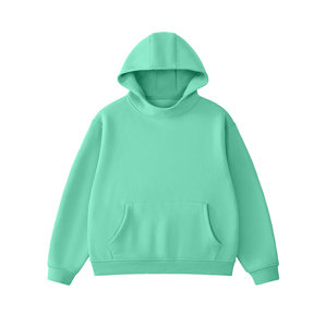 Sweat-shirts à capuche pour hommes, coupe classique, 100% coton, logo brodé, motif uni, tricotés, pour l'automne, Qianlong 200g - Product Image 4