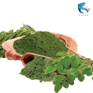 Meilleur Prix Feuilles de Moringa et Poudre de Feuilles de Moringa du Vietnam – Matière Première en Gros, Sac Zip, Approvisionnement Export - Product Image 6