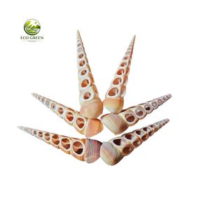 Natural Polished Cut Seashell Pieces Marine Shell Decorations for DIY Projects Coastal Crafts and <b>Gift</b> Making - Product Image 6
