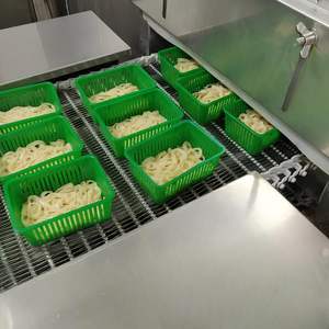 Congeladores en espiral industriales IQF para MARISCOS | Verduras | Congelación de carne: 200 kg a 6000 Kg Capacidad: SS Engineers - Product Image 6