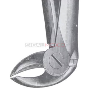 Fig. 15 Pinces d'extraction dentaire manuelles allemandes en acier inoxydable à dents de différentes tailles, instruments dentaires, prix de gros, fournisseur en gros - Product Image 5