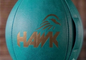 HAWK Heavy Double End Speed Ball PU Leather Hanging Punching Bag with Easy Install for Universal Boxing Training - Product Image 6