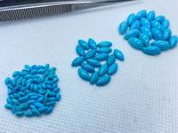 Excellente Turquoise Naturelle Régionale d'Arizona de Grade Rare, Taille Marquise 4x2mm, Chauffée, Couleur Bleue avec Effet de Jeu de Couleurs, Calibrée pour la Fabrication de Bijoux
