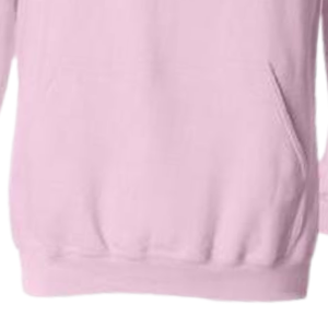 Sudadera con Capucha AKA Crest de Renombre Mundial, Bordado Rosa Claro y Verde, Sudadera con Capucha Personalizada, Ropa Griega - Product Image 4