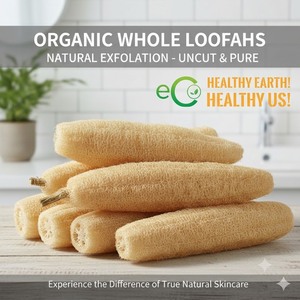 Éponge de loofah 100% naturelle pour le bain et la douche, exfoliant corporel - Product Image 1