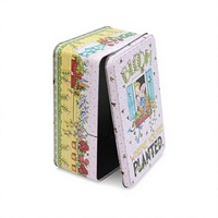Boîte cadeau rectangulaire en métal écologique personnalisée, impression offset 4 couleurs, emballage de biscuits de Noël, 203x141x82mm