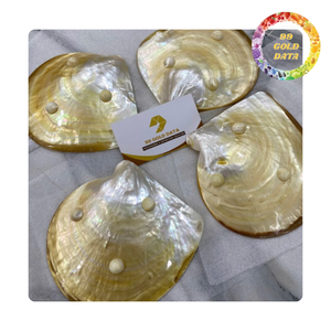 Placa Decorativa de Concha Natural Pulida, Placa de Madreperla para el Hogar y Bodas - Product Image 1