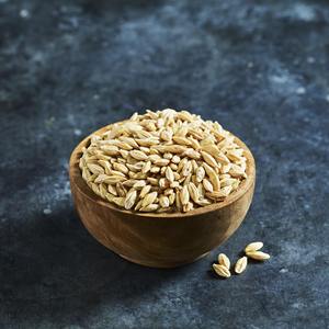 Grano de Cebada Limpio y Entero para Alimentación de Ganado Vacuno, Ovino, Caprino y Otros Animales, 100% Cebada para Suministro de Alimento Animal, Exportación - Product Image 5