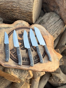 Ensemble de couteaux de cuisine professionnels en acier Damas 67 couches, cinq pièces, couteaux de chef, couteau utilitaire, hachoir, manches ergonomiques en bois Pakka - Product Image 2