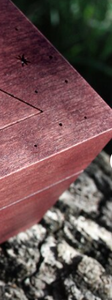 Kotak Kayu Gotik Grosir untuk Penyimpanan Serangga, Berukir Bulan Sabit dan Bintang, Kotak Penyimpanan Perhiasan Buatan Tangan Bertema Celestial, Hadiah - Product Image 6