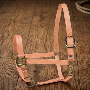 Harnais de cheval en sangle durable, style simple, ajustement confortable, plusieurs couleurs et tailles personnalisées, harnais de course en nylon pour chevaux - Product Image 4