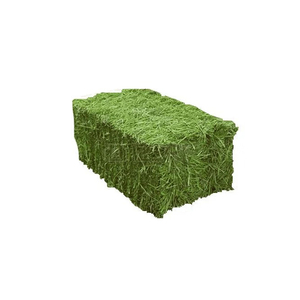 Prix d'usine pour le foin d'alfalfa disponible pour les grossistes en aliments pour animaux et les entreprises agricoles - Product Image 2