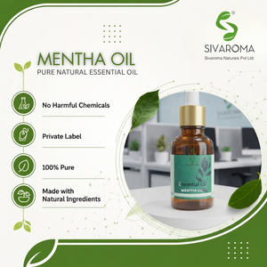Huile de menthe pure à 100 %, mélanges de parfums commerciaux, préparations cosmétiques, produits de soins personnels, formulation pour l'industrie alimentaire, vapeur - Product Image 1