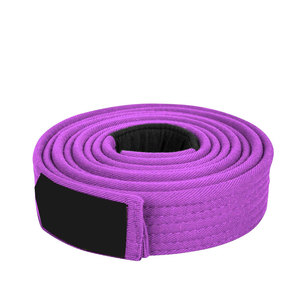 Ceintures de karaté personnalisées avec logo et design sur le devant, 100% coton, respirantes, séchage rapide, vente chaude, professionnelles - Product Image 1