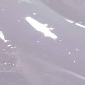 VIVIDRAW 1+1 All Clear Serum 40mL, Sérum Transparente con Niacinamida para el Cuidado Facial de la Mujer - Product Image 1