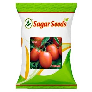 Graines de tomates cerises hybrides Sagar SHIVAM <span class=keywords><strong>F1</strong></span>, rendement élevé, rouge brillant, fruits uniformes, tomates fraîches - Product Image 3