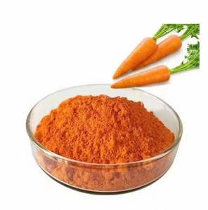 ผงแครอทคุณภาพสูงบรรจุภัณฑ์แบบกำหนดเองได้ ปริมาณมาก ผงแครอทสำหรับส่งออกในราคาที่เข้าถึงได้ - Product Image 3