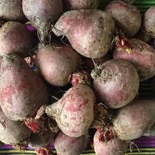 บีทรูทแดงสดจากฟาร์มที่ได้รับการรับรองออร์แกนิก |   มาตรฐาน EU/NOP |   พร้อมใช้งาน |   อายุการเก็บรักษา 4 เดือน - Product Image 6