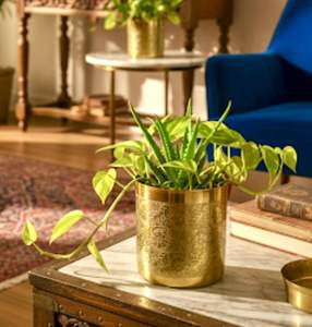 Pot de fleurs en métal plaqué or pour table ou sol, résistant à la rouille, décoratif avec motifs floraux gravés, pour salon, chambre, balcon - Product Image 2