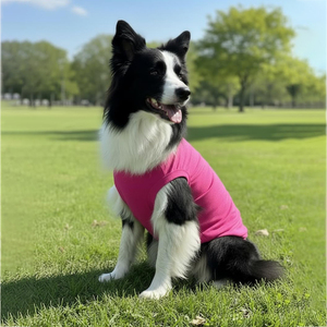 Ropa para Mascotas al por Mayor, Camiseta de Algodón para Perro, Chaleco para Cachorro de Colores, Ropa Ligera y Flexible para Gato de Color Sólido - Product Image 6