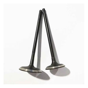 Kit de Válvulas 36AN0013 para Motor de Gas GNC, Compatible con Bajaj RE Maxima Compact Tuk Tuk, Repuestos de Tres Ruedas, Calidad OEM - Product Image 1