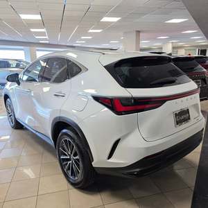 Lexus NX 350h AWD Usado 2026 - Product Image 6