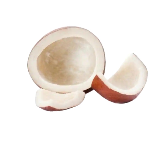 Кокосовая копра хорошего качества/полностью высушенный кокос